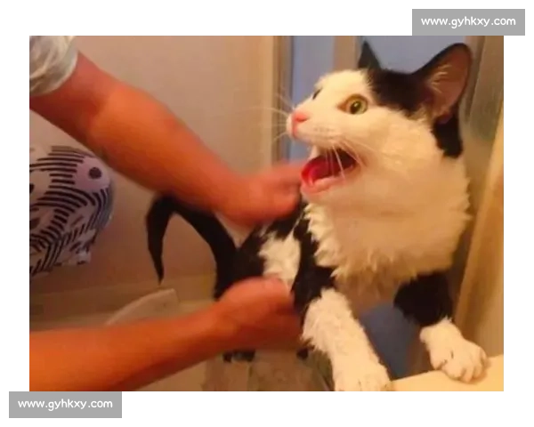 躲过重击,我便成你克星