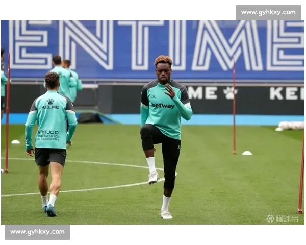 霍克斯湾 40-10 狂胜马努考郡，北区霸主捍卫主场荣耀